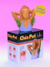 Billie Chia Pet